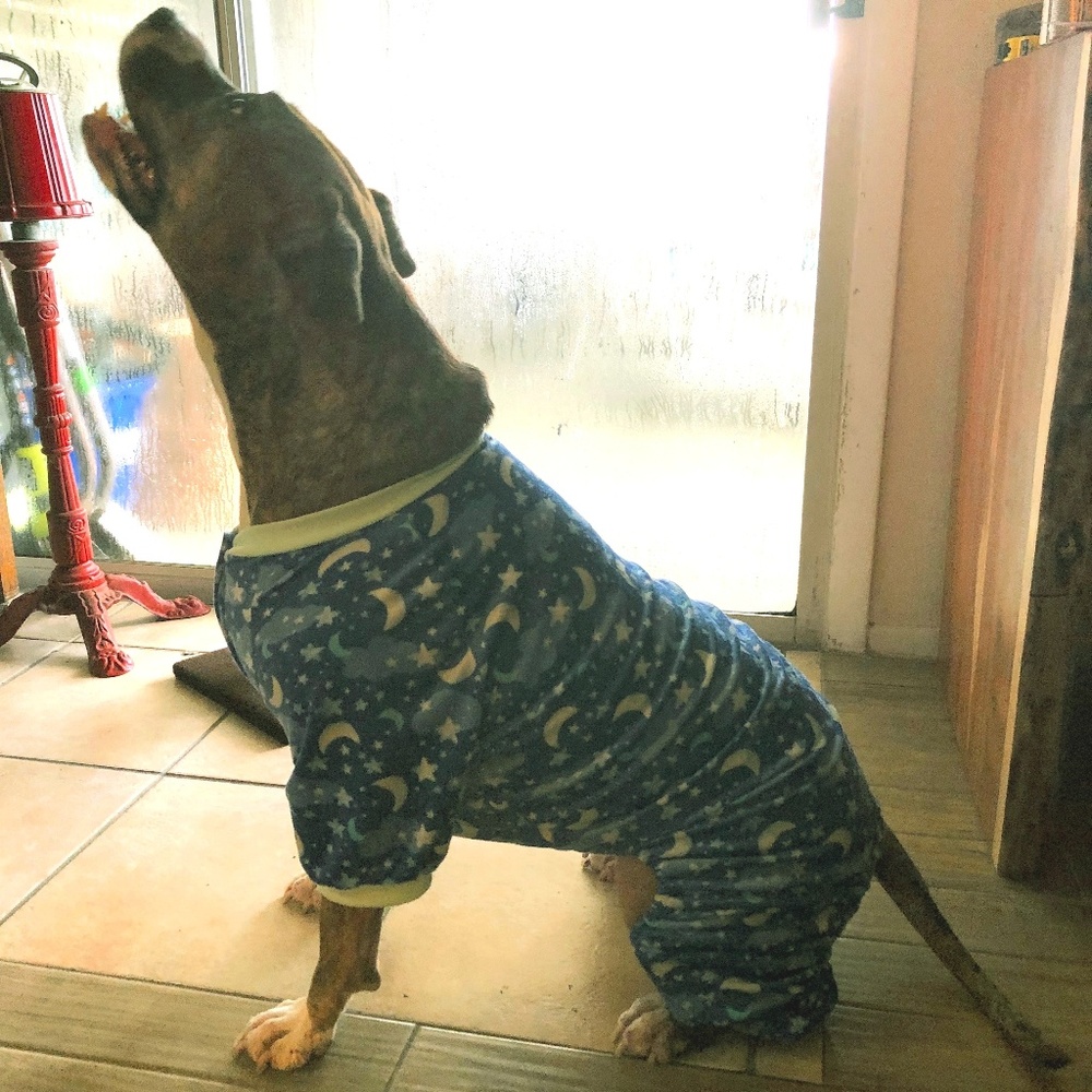 NWT FuzzyYard Clouds Dog Pajamas Size 6 BIG dogs